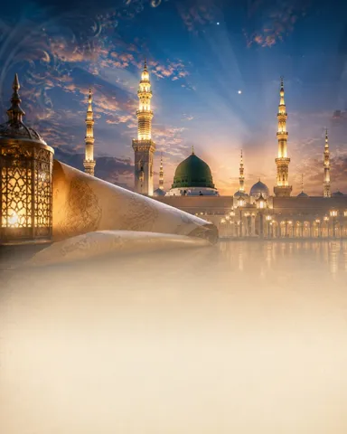 تاريخ المدينة