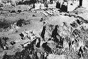 الزوراء