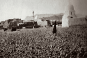 الزبية