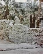 بئر البصة