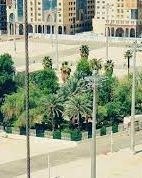 سقيفة بني ساعدة